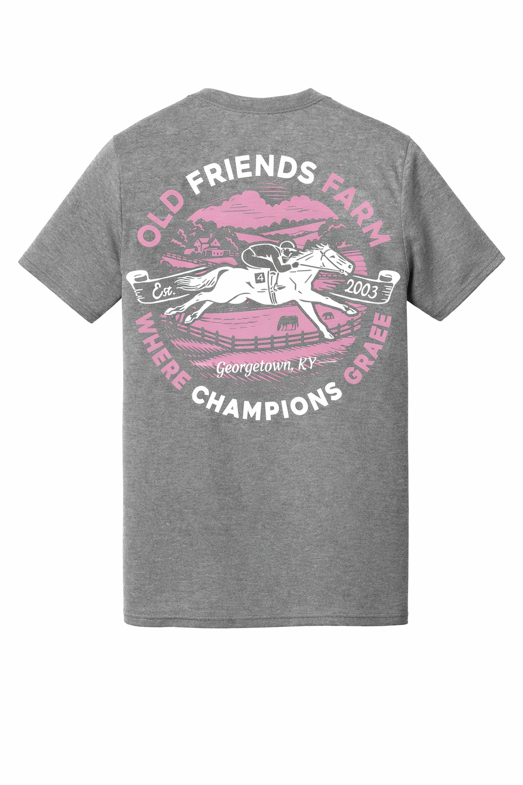 Old Friends V-Neck Tee