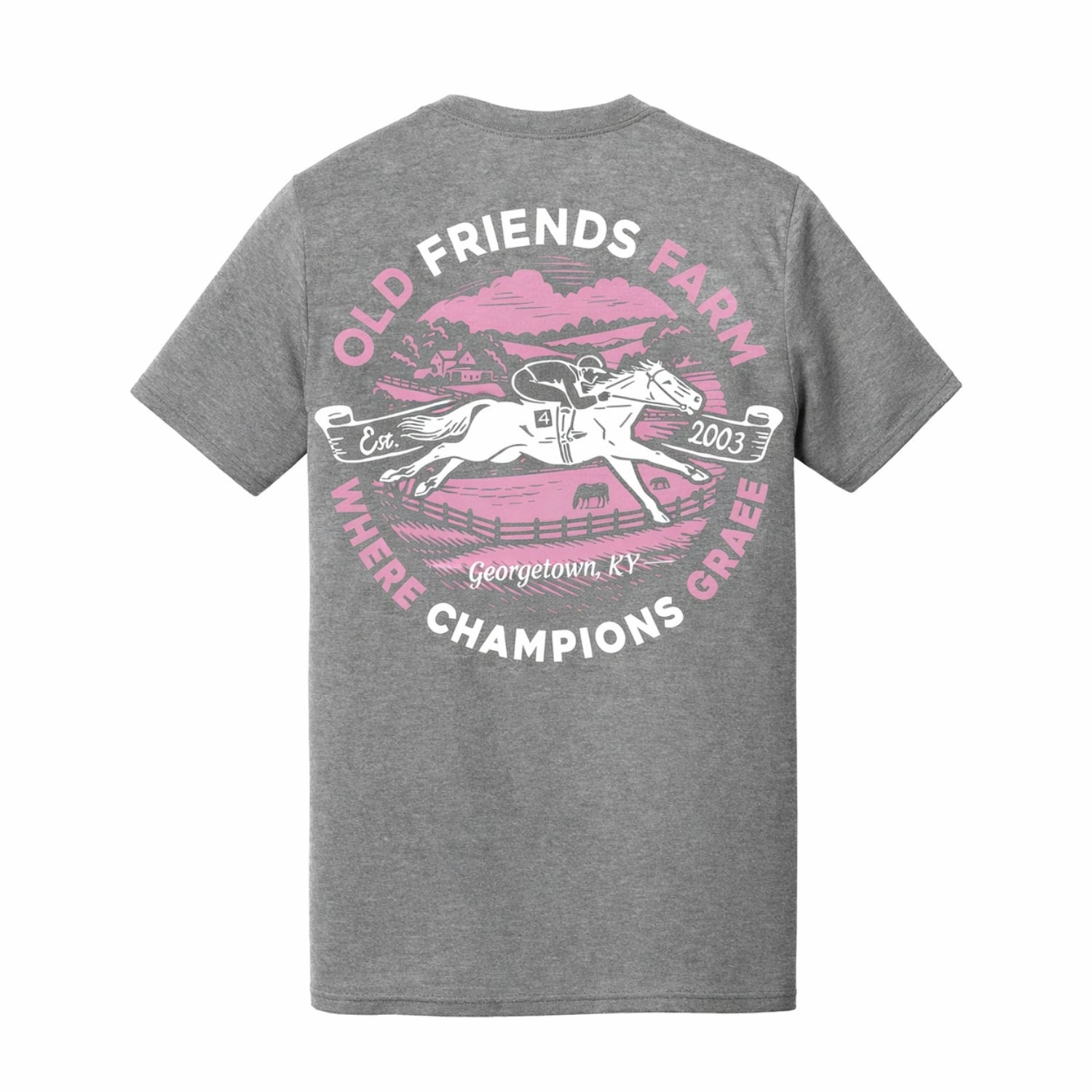 Old Friends Circle Tee