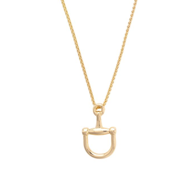 Wild Again Cinnamon Horsebit Necklace